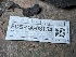  ( - FDS-CA-08154)  @11 [ ] by-nc (2025) Damon Tighe Fungal Diversity Survey