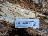 ( - FDS-CA-00836)  @11 [ ] by-nc (2024) Warren Cardimona Fungal Diversity Survey