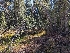  ( - FDS-CA-00843)  @11 [ ] by-nc (2024) Warren Cardimona Fungal Diversity Survey