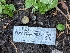  ( - FDS-CA-00837)  @11 [ ] by-nc (2024) Warren Cardimona Fungal Diversity Survey