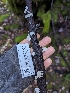  ( - FDS-CA-06303)  @11 [ ] by-nc (2024) Warren Cardimona Fungal Diversity Survey