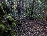  ( - FDS-CA-06303)  @11 [ ] by-nc (2024) Warren Cardimona Fungal Diversity Survey