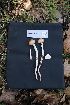  ( - FDS-CA-08735)  @11 [ ] c (2025) Marinna Grijalva Fungal Diversity Survey