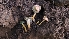  (Gliophorus sp. psittacinus-CA01 - FDS-CA-01104)  @11 [ ] by-nc (2024) Thea Chesney Fungal Diversity Survey