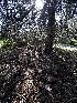 ( - FDS-CA-01961)  @11 [ ] by-nc (2024) Aaron Tupac Fungal Diversity Survey