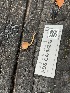  ( - FDS-CA-08252)  @11 [ ] by-nc (2025) Damon Tighe Fungal Diversity Survey