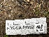  ( - FDS-CA-01933)  @11 [ ] by-nc (2024) Aaron Tupac Fungal Diversity Survey