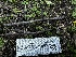 ( - FDS-CA-01969)  @11 [ ] by-nc (2024) Aaron Tupac Fungal Diversity Survey