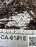  ( - FDS-CA-01816)  @11 [ ] by-nc (2024) Aaron Tupac Fungal Diversity Survey