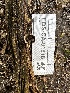  ( - FDS-CA-01818)  @11 [ ] by-nc (2024) Aaron Tupac Fungal Diversity Survey