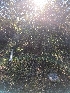  ( - HAY-F-001976)  @11 [ ] Unspecified (default): All Rights Reserved (2023) Stu Pickell FunDiS