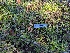  ( - HAY-F-001976)  @11 [ ] Unspecified (default): All Rights Reserved (2023) Stu Pickell FunDiS