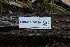  ( - FDS-CA-08759)  @11 [ ] c (2025) Marinna Grijalva Fungal Diversity Survey
