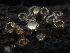  (Lasiobelonium - HAY-F-002068)  @11 [ ] Unspecified (default): All Rights Reserved (2023) Stu Pickell FunDiS