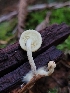 ( - HAY-F-000669)  @11 [ ] Unspecified (default): All Rights Reserved (2023) Mandy Hackney FunDiS