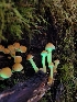  ( - HAY-F-000670)  @11 [ ] Unspecified (default): All Rights Reserved (2023) Mandy Hackney FunDiS