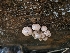  ( - HAY-F-000628)  @11 [ ] Unspecified (default): All Rights Reserved (2023) Mandy Hackney FunDiS