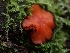  ( - HAY-F-000591)  @11 [ ] Unspecified (default): All Rights Reserved (2023) Mandy Hackney FunDiS