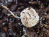  ( - HAY-F-003096)  @11 [ ] cc-by-nc (2023) Dean Lyons FunDiS