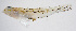  ( - FUT-026)  @11 [ ] CreativeCommons  Attribution Non-Commercial (by-nc) (2016) Unspecified Smithsonian Institution National Museum of Natural History