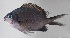  ( - FUT-121)  @11 [ ] CreativeCommons  Attribution Non-Commercial (by-nc) (2016) Unspecified Smithsonian Institution National Museum of Natural History