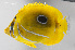  ( - FUT-133)  @11 [ ] CreativeCommons  Attribution Non-Commercial (by-nc) (2016) Unspecified Smithsonian Institution National Museum of Natural History