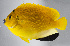  ( - FUT-202)  @11 [ ] CreativeCommons  Attribution Non-Commercial (by-nc) (2016) Unspecified Smithsonian Institution National Museum of Natural History