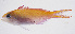  ( - FUT-231)  @11 [ ] CreativeCommons  Attribution Non-Commercial (by-nc) (2016) Unspecified Smithsonian Institution National Museum of Natural History