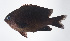  ( - FUT-270)  @11 [ ] CreativeCommons  Attribution Non-Commercial (by-nc) (2016) Unspecified Smithsonian Institution National Museum of Natural History