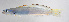  ( - FUT-288)  @11 [ ] CreativeCommons  Attribution Non-Commercial (by-nc) (2016) Unspecified Smithsonian Institution National Museum of Natural History
