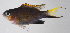  ( - FUT-325)  @11 [ ] CreativeCommons  Attribution Non-Commercial (by-nc) (2016) Unspecified Smithsonian Institution National Museum of Natural History