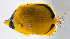  ( - FUT-428)  @11 [ ] CreativeCommons  Attribution Non-Commercial (by-nc) (2016) Unspecified Smithsonian Institution National Museum of Natural History