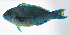  ( - FUT-436)  @11 [ ] CreativeCommons  Attribution Non-Commercial (by-nc) (2016) Unspecified Smithsonian Institution National Museum of Natural History
