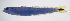 ( - FUT-444)  @11 [ ] CreativeCommons  Attribution Non-Commercial (by-nc) (2016) Unspecified Smithsonian Institution National Museum of Natural History