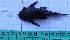 ( - CIAR156)  @11 [ ] Unspecified (default): All Rights Reserved  Unspecified Unspecified