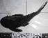  ( - CIAR490)  @11 [ ] Unspecified (default): All Rights Reserved  Unspecified Unspecified