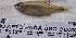 ( - CIAR628)  @11 [ ] Unspecified (default): All Rights Reserved  Unspecified Unspecified