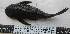  ( - CIAR 704)  @11 [ ] Unspecified (default): All Rights Reserved  Unspecified Unspecified
