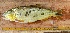  ( - EVA-16-Fo)  @11 [ ] Unspecified (default): All Rights Reserved  Unspecified Unspecified