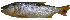 ( - EVA-H1)  @11 [ ] Unspecified (default): All Rights Reserved  Unspecified Unspecified