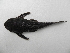  ( - UNMDP-T 1030)  @13 [ ] Unspecified (default): All Rights Reserved  Unspecified Unspecified