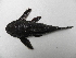  ( - UNMDP-T 1032)  @12 [ ] Unspecified (default): All Rights Reserved  Unspecified Unspecified