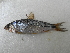  ( - UNMDP-T 1043)  @13 [ ] Unspecified (default): All Rights Reserved  Unspecified Unspecified