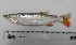  ( - UNMDP-T 1285)  @11 [ ] Unspecified (default): All Rights Reserved  Unspecified Unspecified