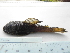  ( - UNMDP-T 2003)  @13 [ ] Unspecified (default): All Rights Reserved  Unspecified Unspecified