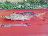  ( - UNMDP-T 2488)  @11 [ ] Unspecified (default): All Rights Reserved  Unspecified Unspecified