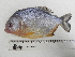  ( - UNMDP-T 2623)  @11 [ ] Unspecified (default): All Rights Reserved  Unspecified Unspecified