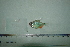  ( - UNMDP T 2762)  @11 [ ] Unspecified (default): All Rights Reserved  Unspecified Unspecified