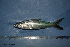  ( - UNMDP-T 2794)  @11 [ ] Unspecified (default): All Rights Reserved  Unspecified Unspecified