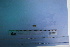 ( - UNMDP-T 2842)  @11 [ ] Unspecified (default): All Rights Reserved  Unspecified Unspecified
